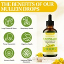 mullein-drops-for-lungs-liposomal-14-in--4.jpg