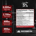 5-nutrition-rich-piana-alldayyoumay-bcaa-2.jpg