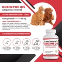 coenzyme-q10-high-potency-coq10-40mg-ubi-2.jpg