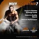5-pack-vigortrix-supplement-official-vig-4.jpg