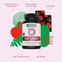zhou-tart-cherry-parent-60-count-pack-of-4.jpg