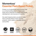 momentous-essential-vegan-protein-powder-4.jpg