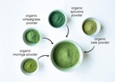 food-to-live---organic-supergreens-powde-6.jpg