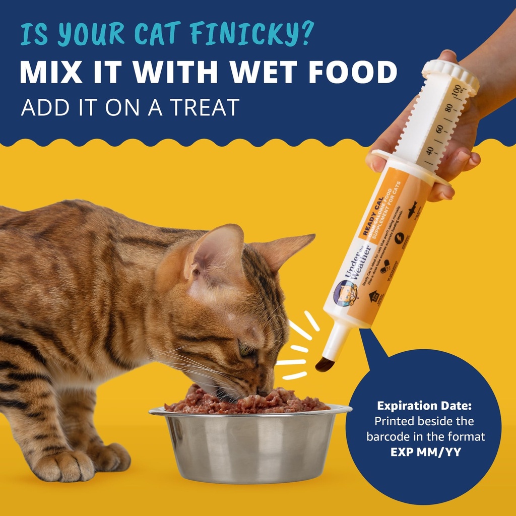 under-the-weather-pet-ready-cal-for-cats-3.jpg