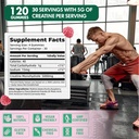 creatine-monohydrate-gummies-for-men-wom-3.jpg
