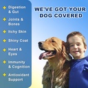 dog-vitamins-dog-multivitamin-powder-wit-2.jpg