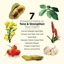dr-schulzes-5-day-bowel-detox-herbal-col-4.jpg