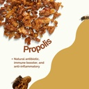 saw-palmetto-prostate-supplement-for-men-3.jpg