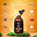 kiki-green-8-mushrooms-powder-liquid-ext-3.jpg