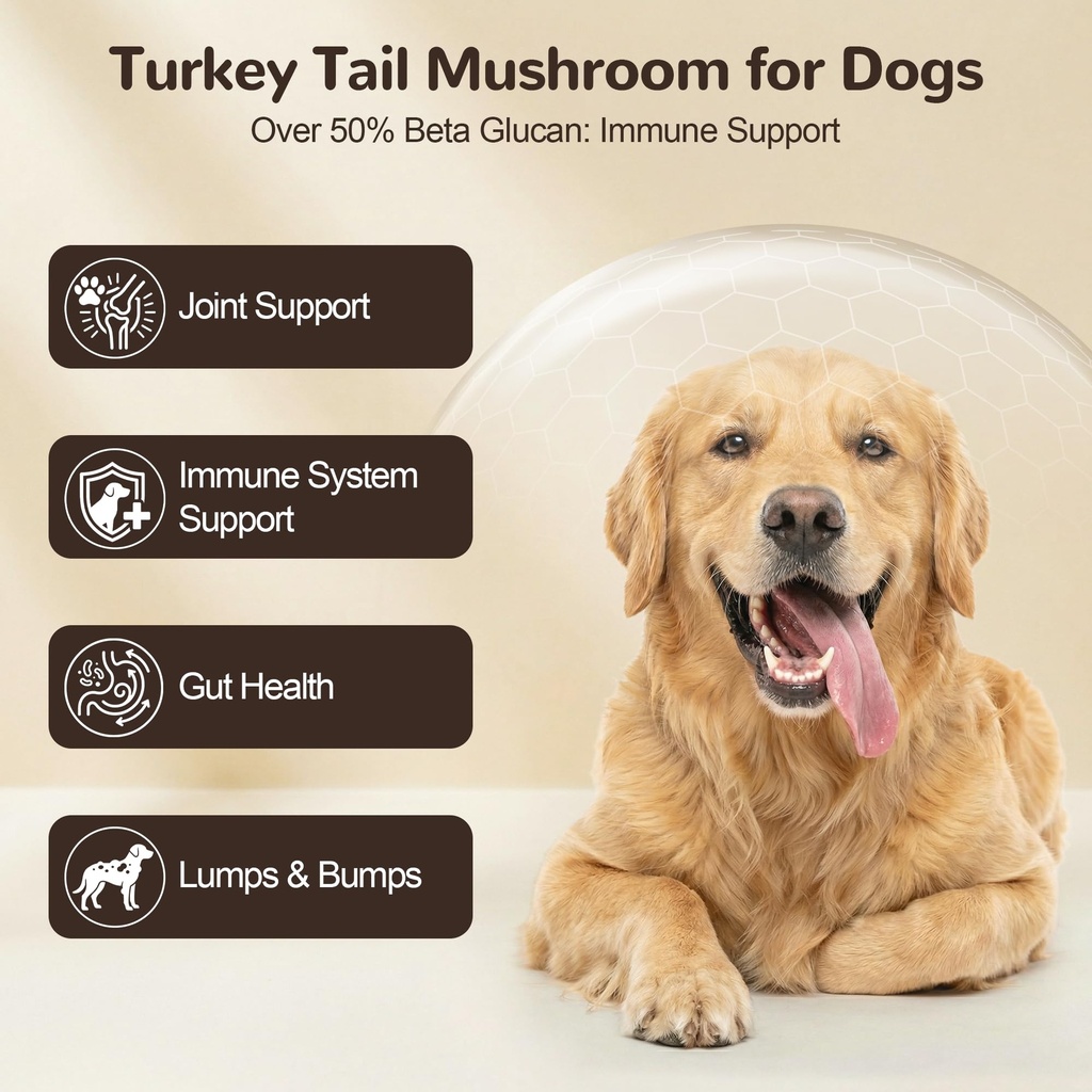organic-turkey-tail-mushroom-for-dogs-10-2.jpg