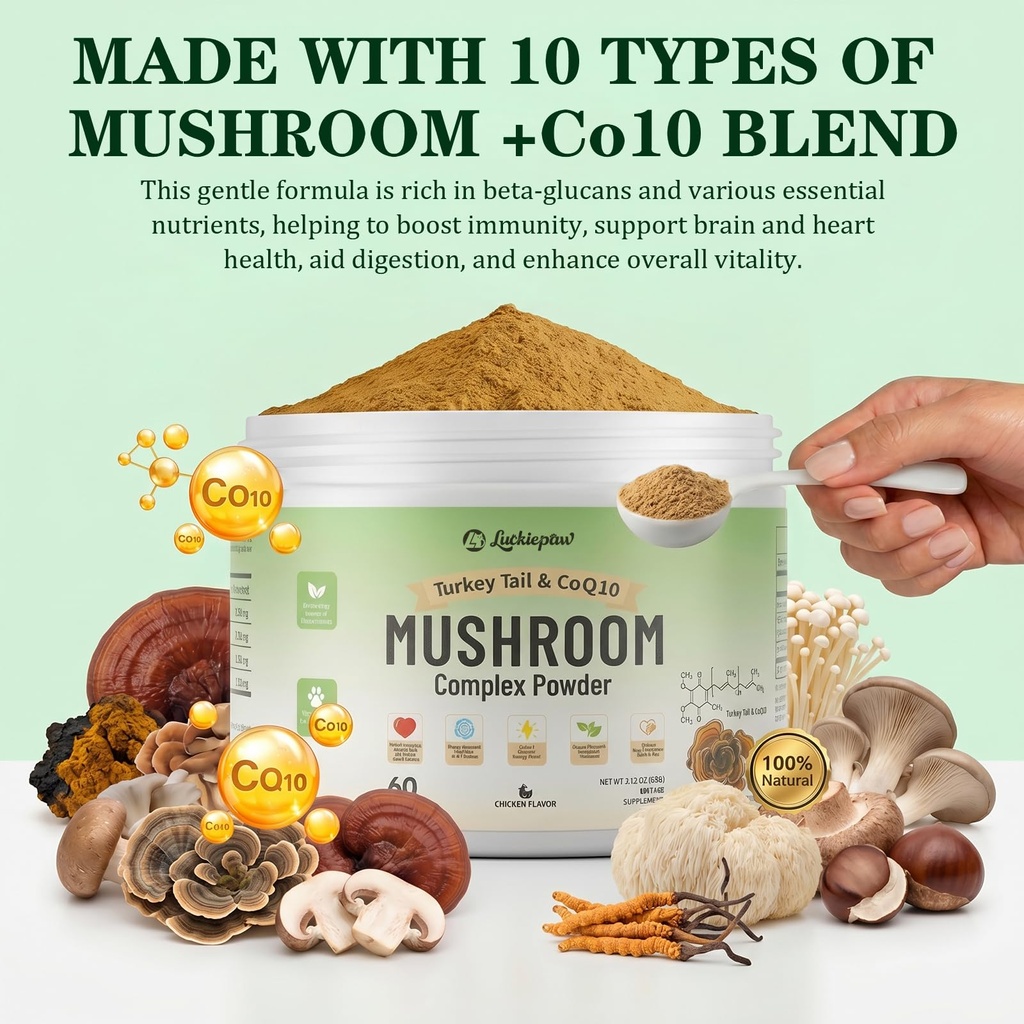 organic-turkey-tail-mushroom-supplement--2.jpg