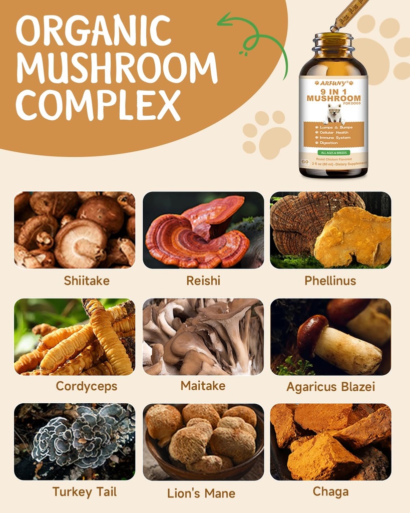 9-in-1-mushroom-supplement-for-dogs-dige-4.jpg