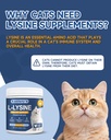 mushroom-for-dogs-9-organic-mushroom-sup-3.jpg
