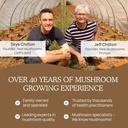 real-mushrooms-lions-mane-for-humans-120-5.jpg