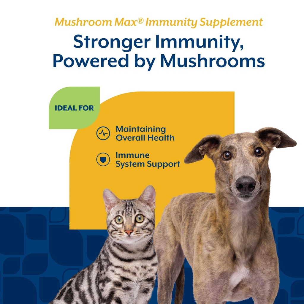 naturvet-mushroom-max-advanced-immune-su-4.jpg