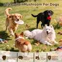 turkey-tail-mushroom-for-dogs-mushroom-c-2.jpg