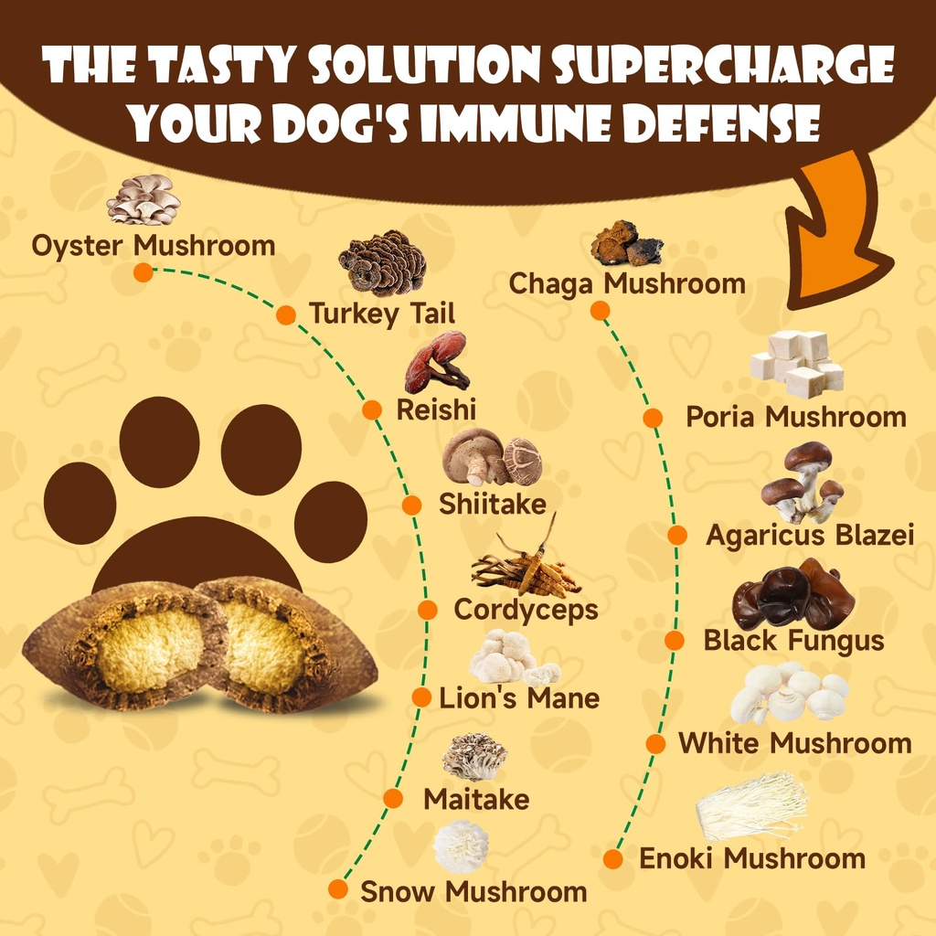 mushroom-chews-for-dogs-turkey-tail-mush-3.jpg