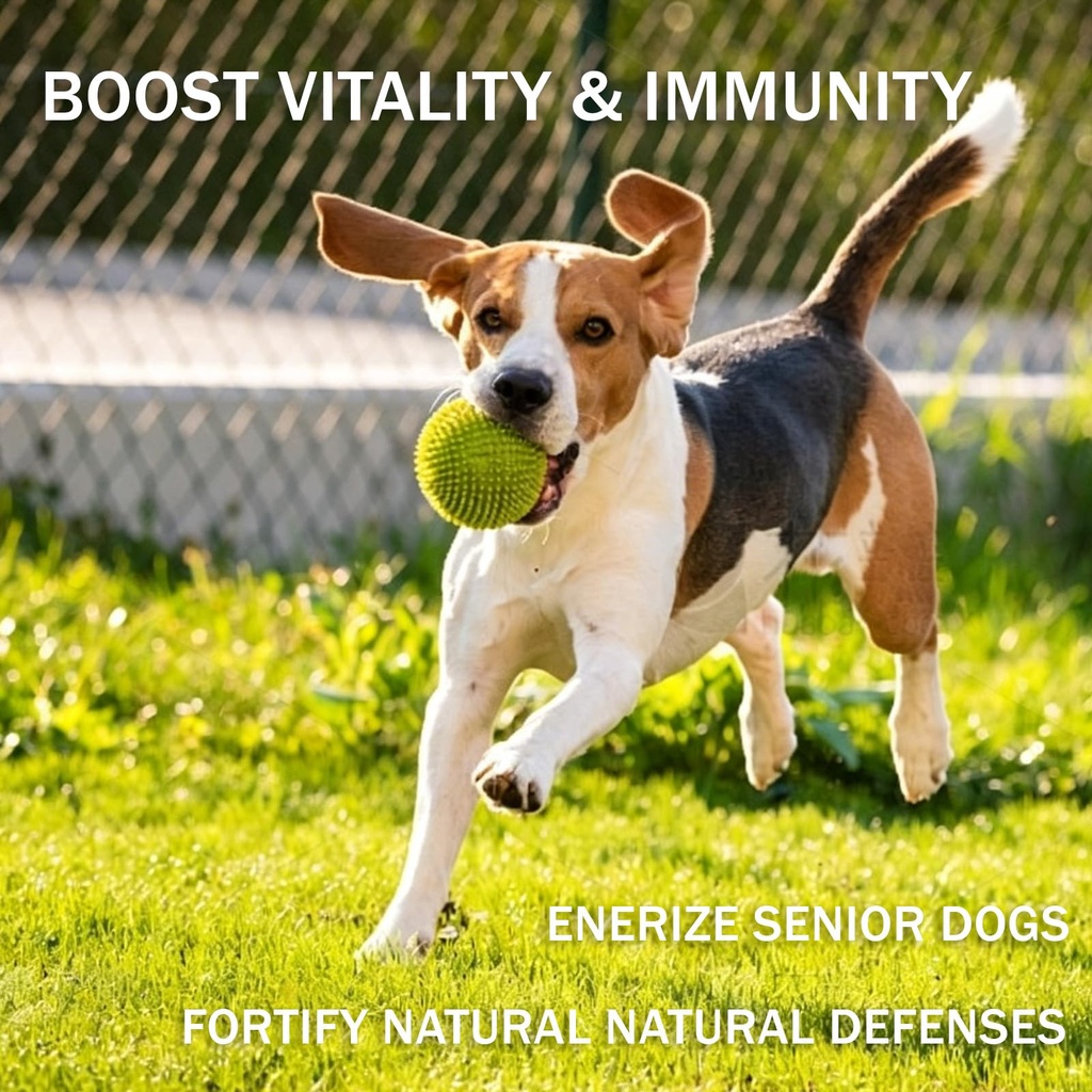 turkey-tail-mushroom-powder-for-dogs-pro-5.jpg