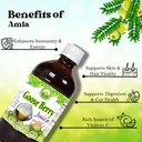 basic-ayurveda-amla-gooseberry-juice-32--5.jpg