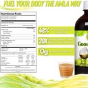 basic-ayurveda-amla-gooseberry-juice-32--2.jpg