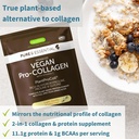 vegan-vanilla-collagen-protein-powder-ve-3.jpg