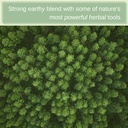 speedyvite-blood-lifeboost-tea-supports--4.jpg