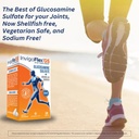 invigoflex-glucosamine-sulfate-shellfish-5.jpg