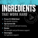animal-juiced-amino-acids-bcaa-powder-ea-4.jpg