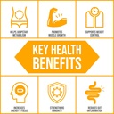 body-ecology-probiotic-protein-shake-pow-3.jpg
