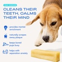 native-pet-health-wellness-bundle-5-smal-2.jpg