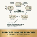 vetriscience-lysine-immunity-health-chew-6.jpg