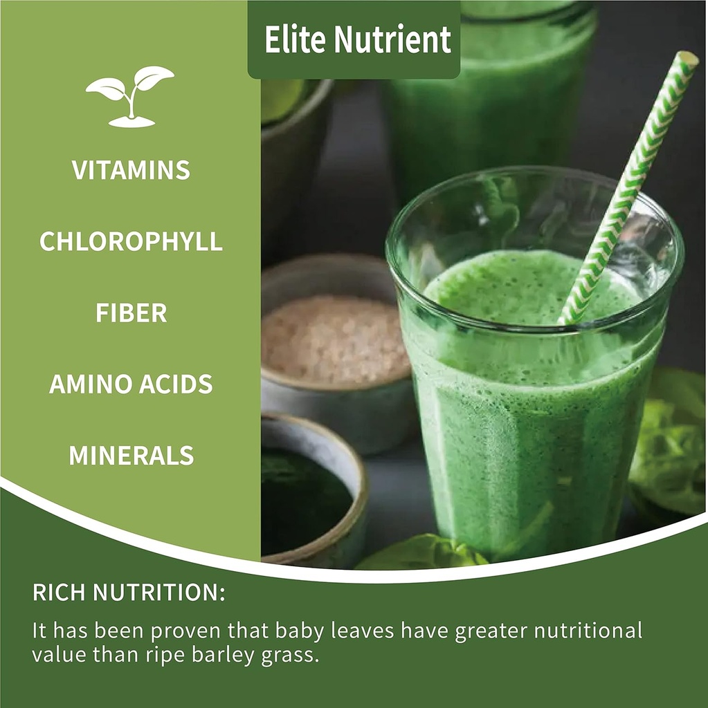 organic-spirulina-powder-non-gmo-usda-ce-6.jpg
