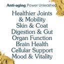 senior-dog-powder-supplement-food-topper-4.jpg