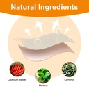 kongdy-100pcs-capsaicin-patches-extra-st-3.jpg