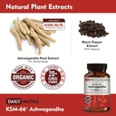 dailynutra-ksm-66-ashwagandha-600mg-orga-3.jpg