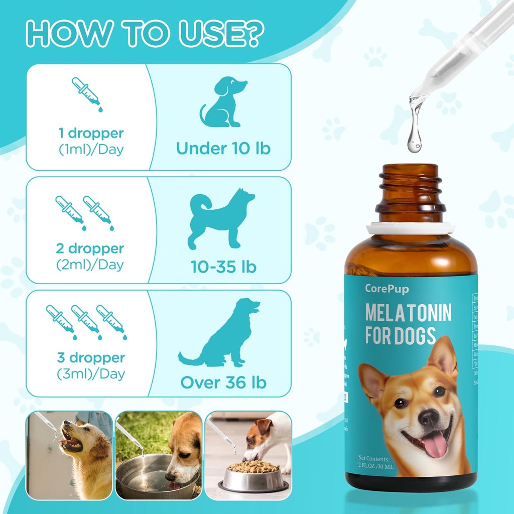 melatonin-for-dogs-dog-sleep-aid-anxiety-6.jpg