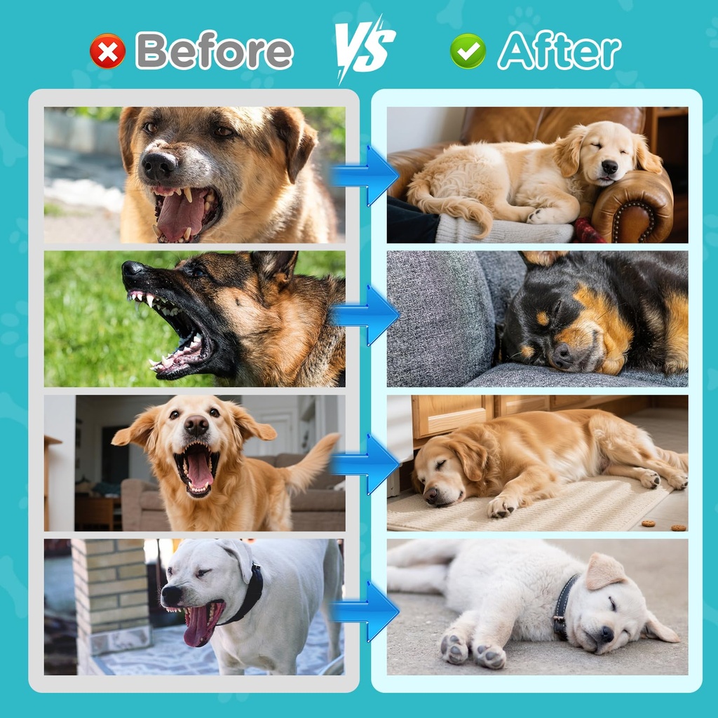 melatonin-for-dogs-dog-sleep-aid-anxiety-5.jpg
