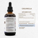 secrets-of-the-tribe-chlorella-tincture--4.jpg