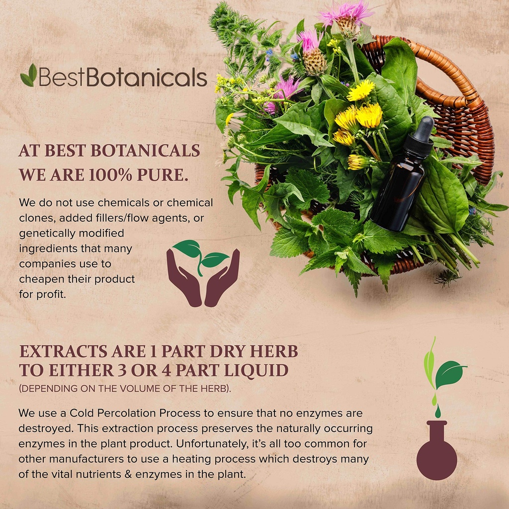 best-botanicals-bayberry-root-bark-powde-2.jpg