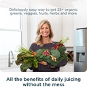 ancient-nutrition-multi-collagen-protein-6.jpg