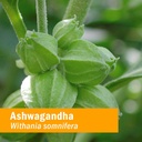 herb-pharm-ashwagandha-rhodiola-root-ext-4.jpg