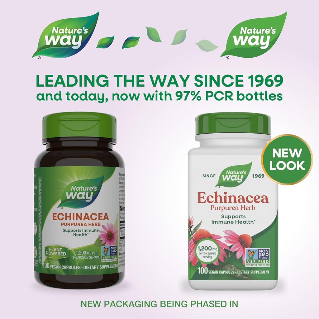 natures-way-echinacea-purpurea-herb-immu-2.jpg