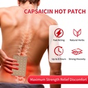 capsaicin-patches-50-count-hot-capsicum--4.jpg