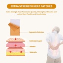 60-pcs-capsaicin-patches-pain-patches-ho-3.jpg