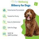 pet-wellbeing-bilberry-for-dogs-eye-visi-5.jpg