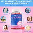 lysine-monolaurin-liposomal-magnesium-gl-4.jpg