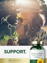 carlyle-sunflower-lecithin-softgel-capsu-6.jpg
