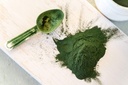 food-to-live-organic-chlorella-powder-8--5.jpg