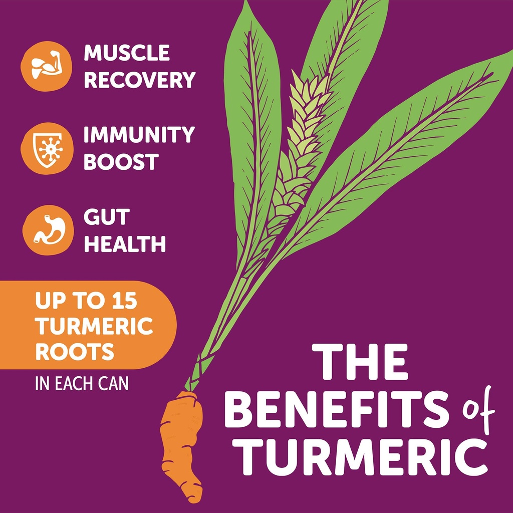 zyn-turmeric-wellness-drink-24-pack-pome-3.jpg