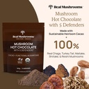 real-mushrooms-hot-chocolate-mix-15-serv-2.jpg